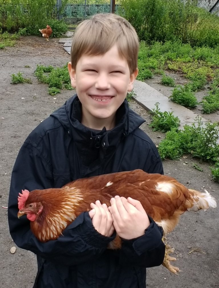 Hühnerhof Der Kölner Biobauer